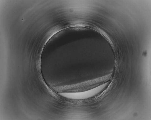 X0000099381194200806051114