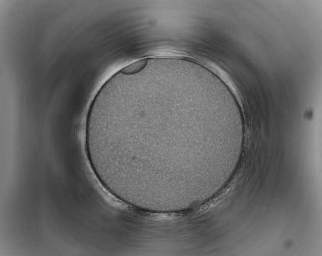 X0000099381195200806051114
