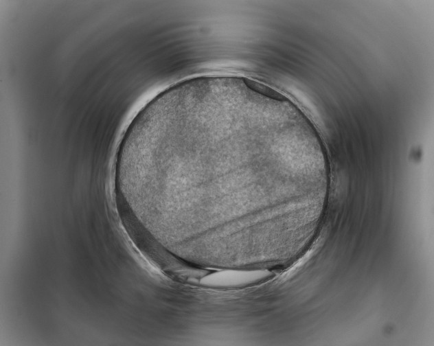 X0000099381196200806051114
