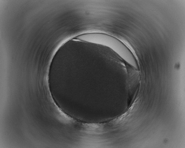 X0000099381197200806051113