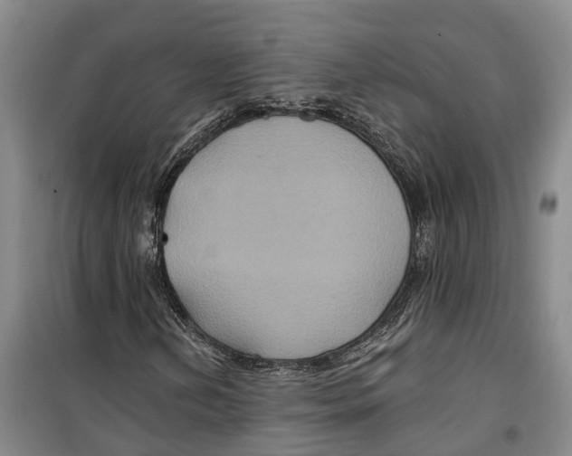 X0000099381202200806051113