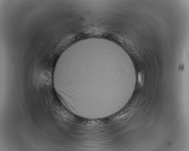 X0000099381203200806051113
