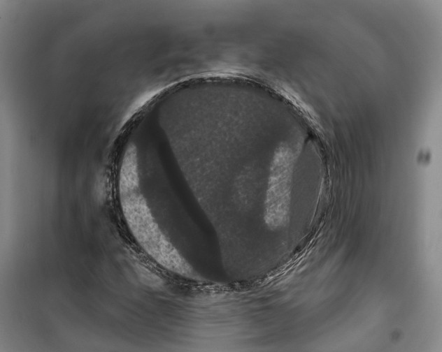 X0000099381208200806051113