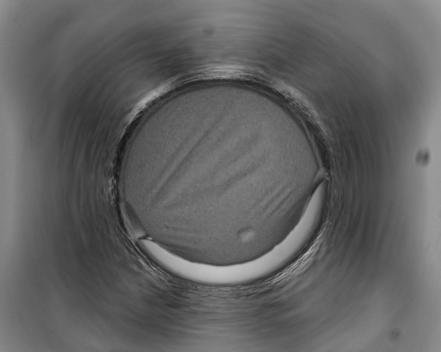 X0000099381210200806051113