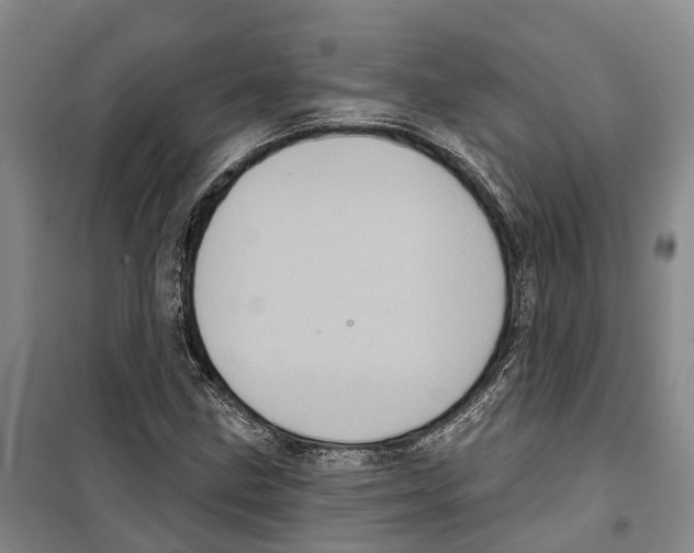 X0000099381211200806051113