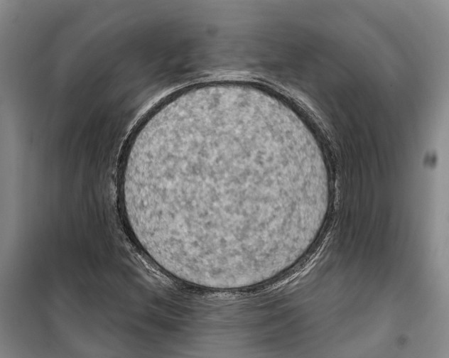 X0000099381212200806051113