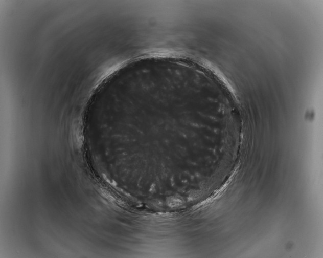 X0000099381213200806051113