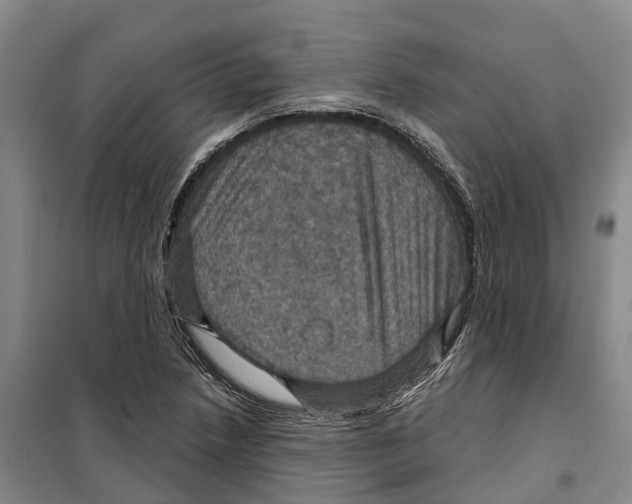 X0000099381218200806051113
