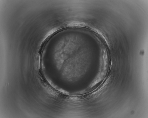 X0000099381219200806051113