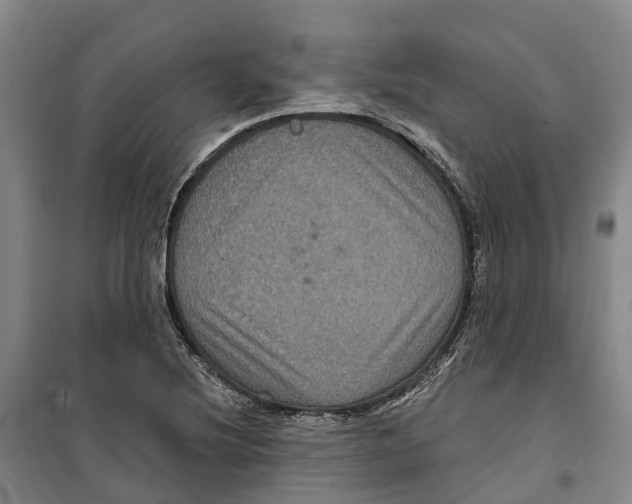 X0000099381220200806051113