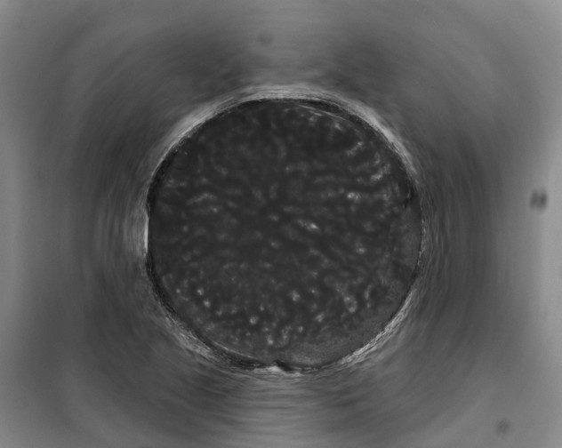X0000099381221200806051113
