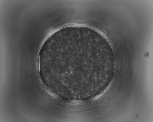 X0000099381223200806051113
