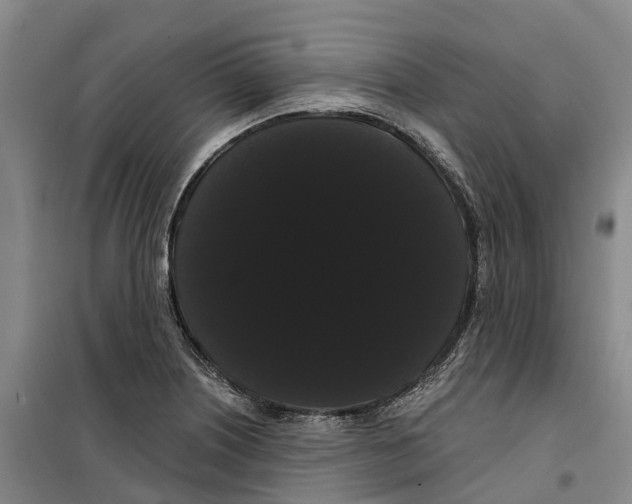 X0000099381226200806051113
