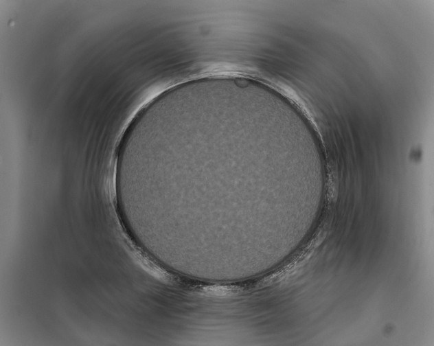 X0000099381227200806051113