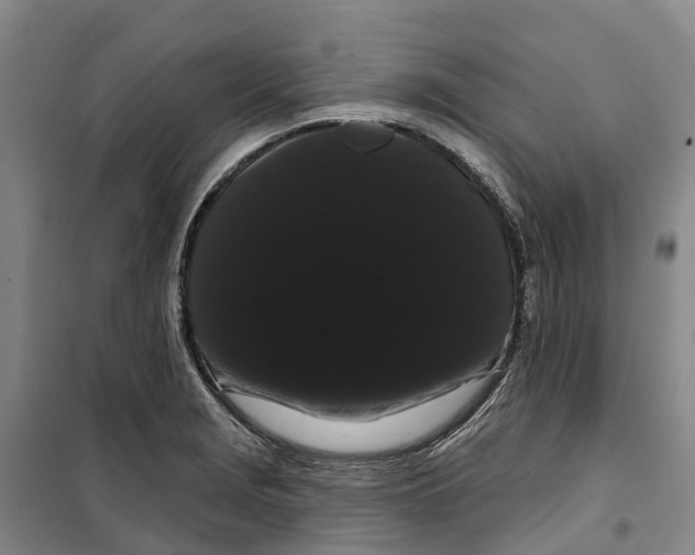X0000099381229200806051113