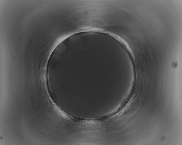 X0000099381231200806051113