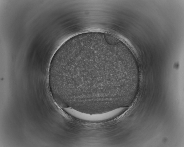 X0000099381236200806051113