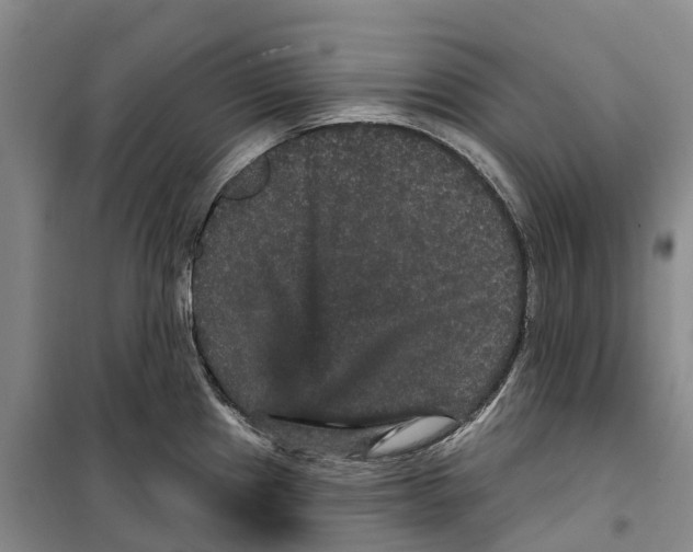 X0000099381241200806051113