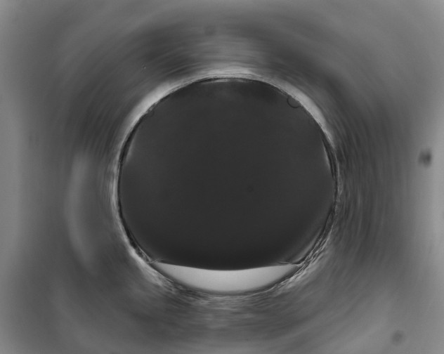 X0000099381245200806051113
