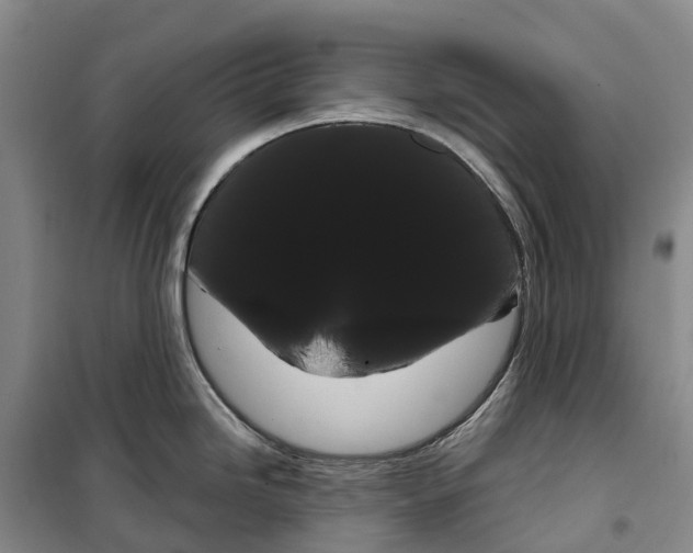 X0000099381246200806051113