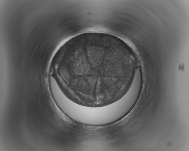 X0000099381248200806051113