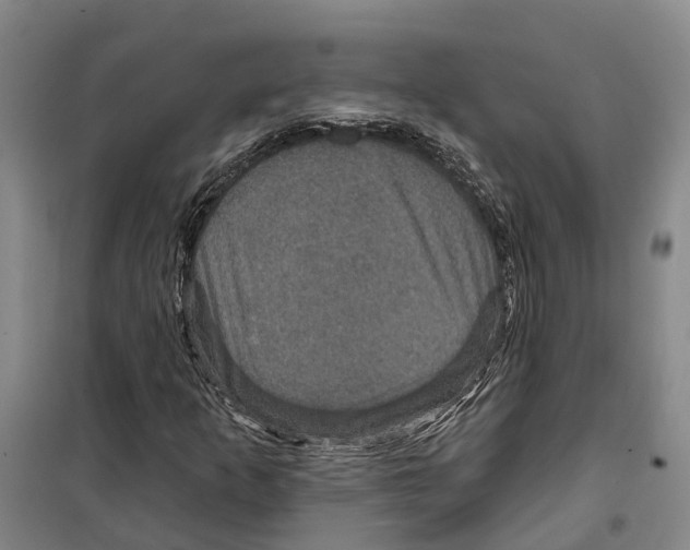 X0000099381253200806051113