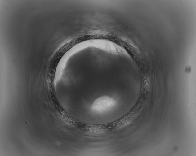 X0000099381254200806051113
