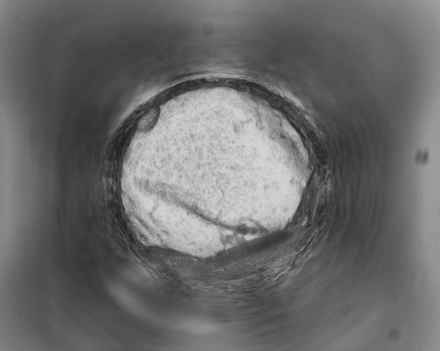 X0000099381255200806051113