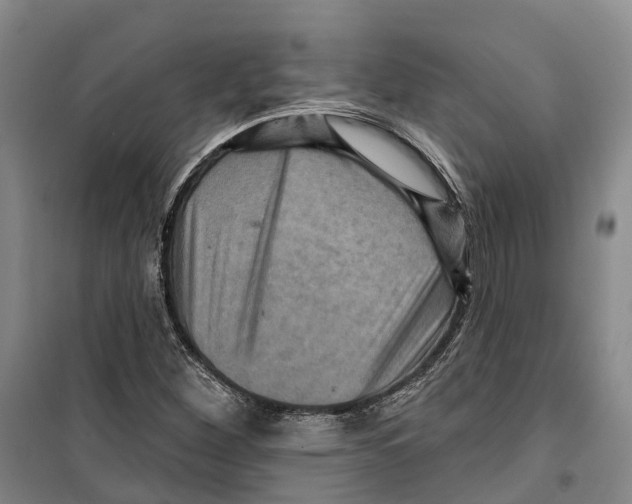 X0000099381260200806051113