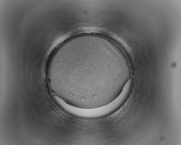 X0000099381261200806051113
