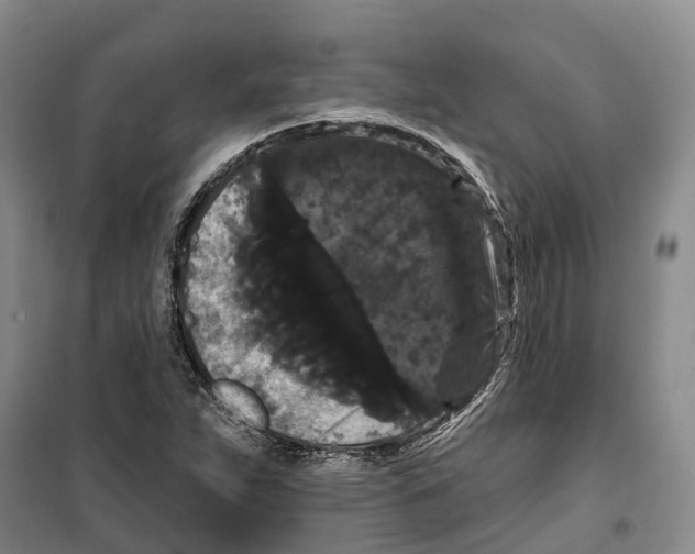 X0000099381263200806051113