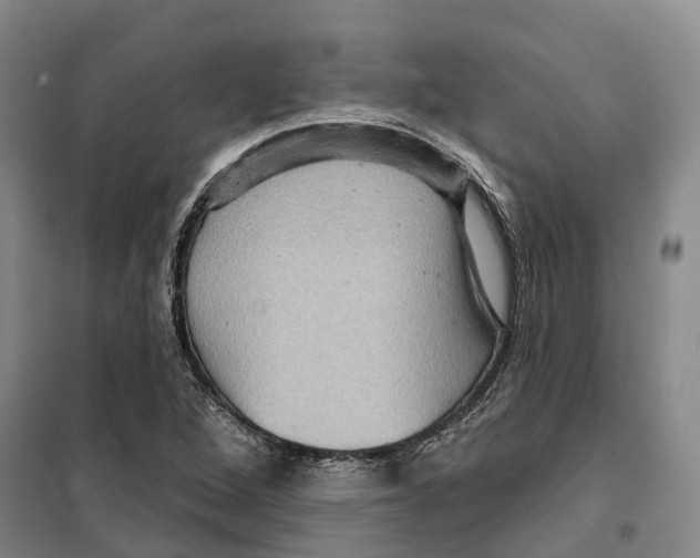 X0000099381264200806051113