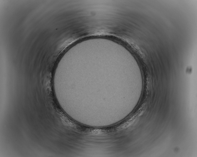 X0000099381265200806051113