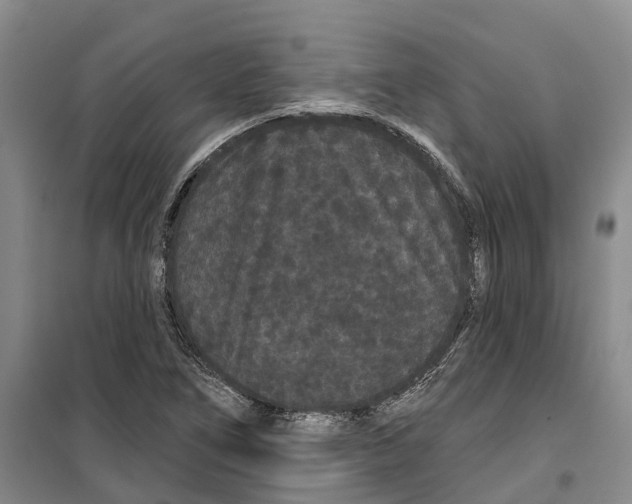 X0000099381266200806051113