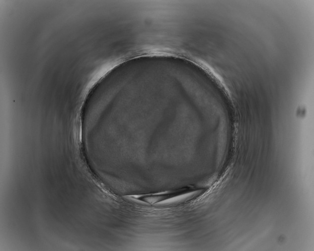 X0000099381269200806051112