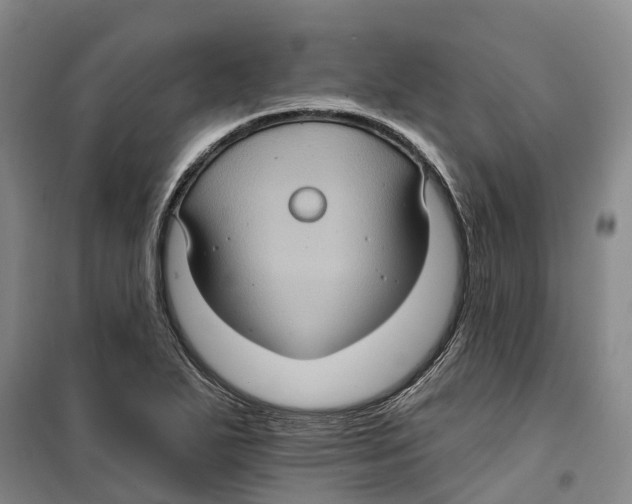 X0000099381271200806051112