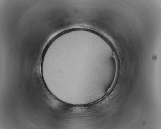 X0000099381272200806051112
