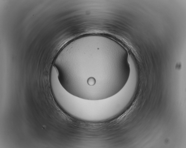 X0000099381273200806051112
