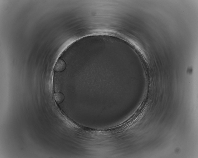 X0000099381275200806051112