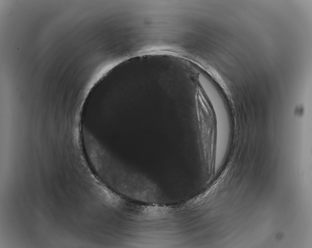 X0000099381277200806051112