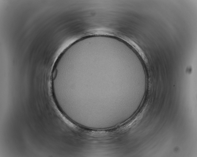 X0000099381285200806051112