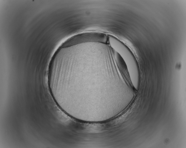 X0000099381288200806051112