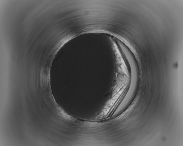 X0000099381289200806051112