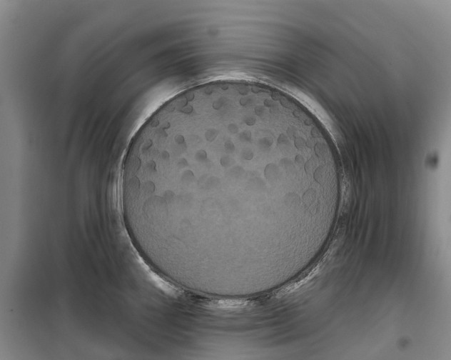 X0000099381290200806051112