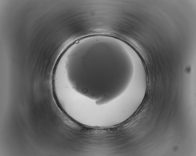 X0000099381291200806051112