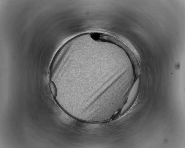 X0000099381292200806051112