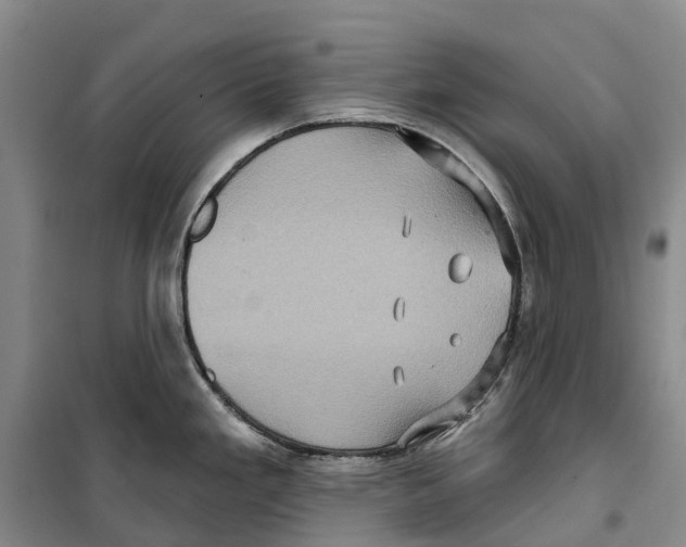 X0000099381293200806051112