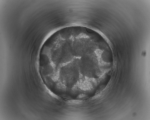X0000099381294200806051112