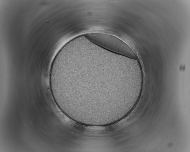 X0000099381296200806051112