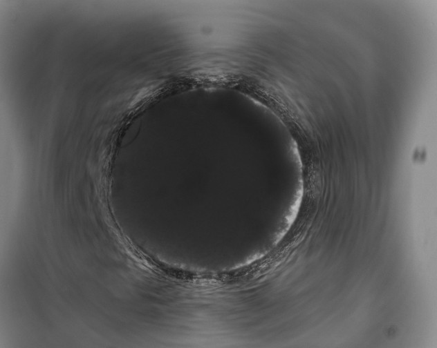 X0000099381297200806051111